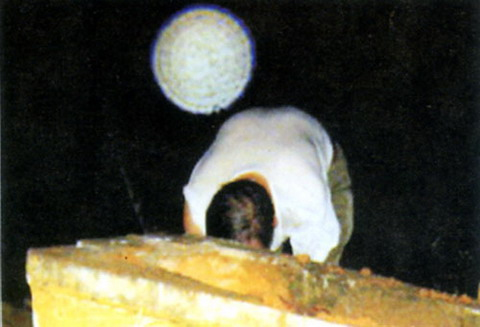 Ma xuat hien trong nhung buc anh Viet Nam